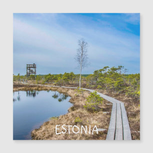 Wooden trail over swamp in Estonia Magnet