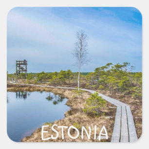 Wooden trail over swamp in Estonia Square Sticker