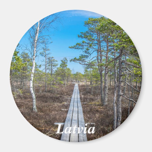 Wooden trail over swamp magnet (Front)