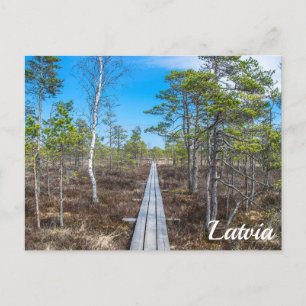 Wooden trail over swamp postcard