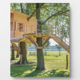 Wooden tree house in oak tree with grass plaque