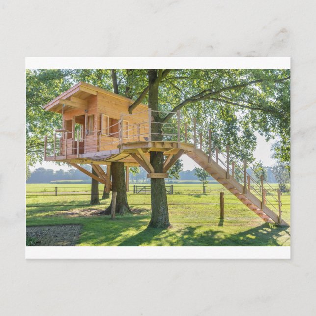 Wooden tree house in oak tree with grass postcard (Front)
