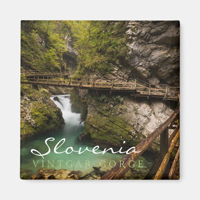 Wooden walkway through Vintgar Gorge canyon Magnet (Front)