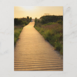 Wooden Walkway to Beach Postcard