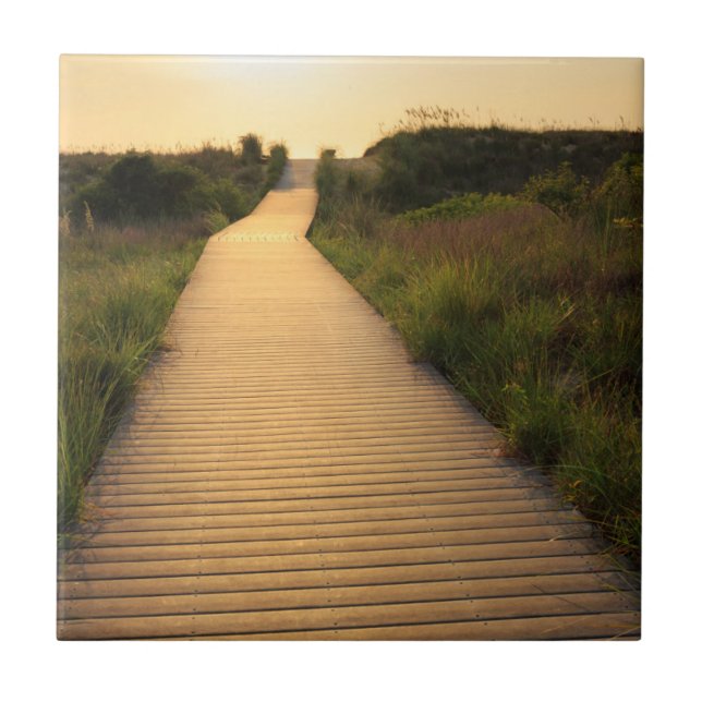Wooden Walkway to Beach Tile (Front)