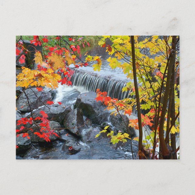 Woodford State Park Postcard (Front)