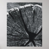 Woodgrain detail