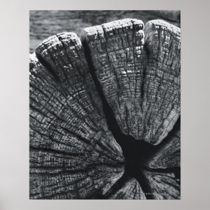 Woodgrain detail poster