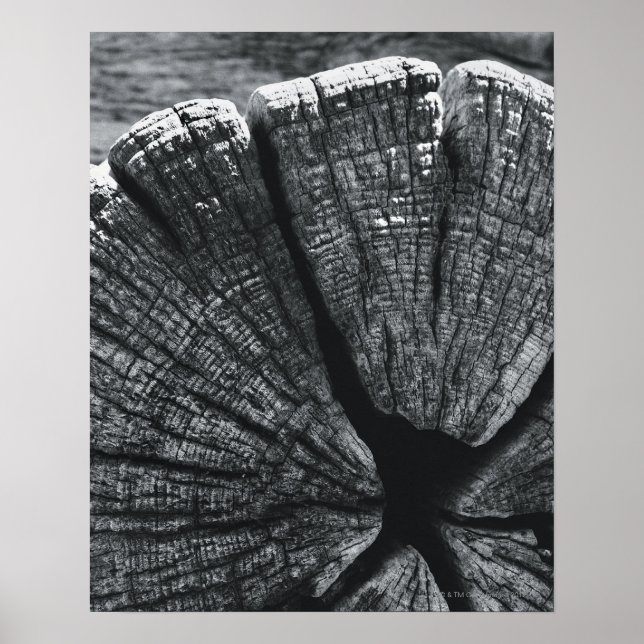 Woodgrain detail poster (Front)