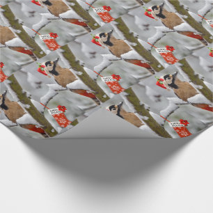 Woodie's Christmas Wrapping Paper