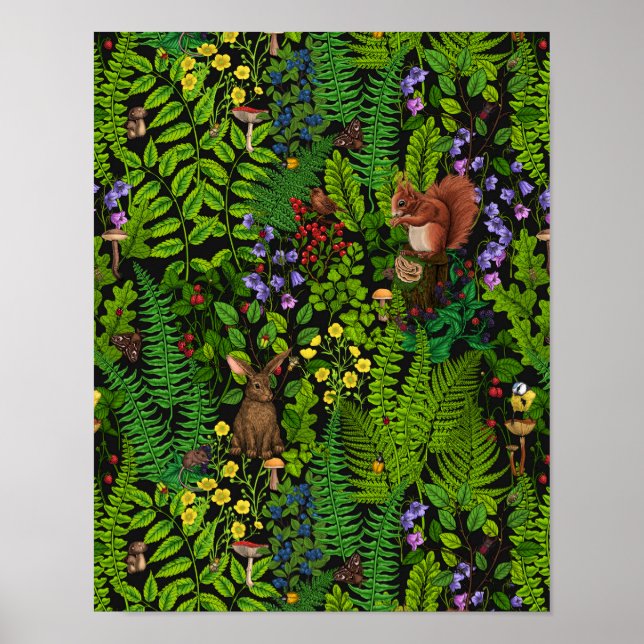 Woodland amimals and plants poster (Front)
