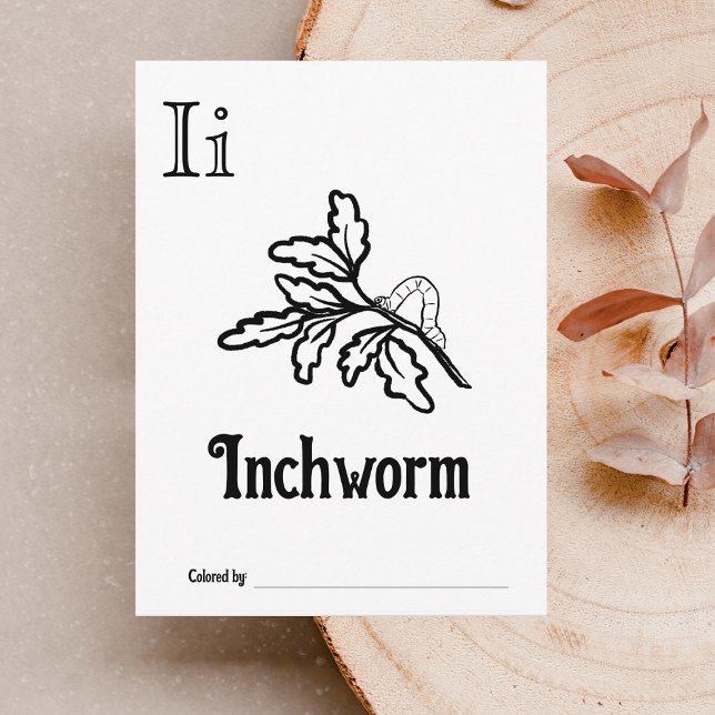 Woodland Animals ABC Colouring Baby Shower Activit Postcard (Letter I - Color Your Own Baby's First ABC's Keepsake Cards)