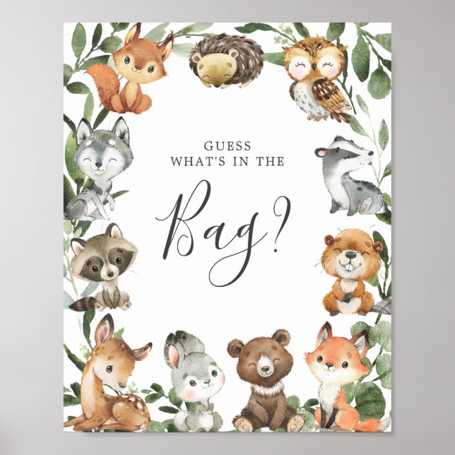 Woodland Animals Baby Guess What's in the Bag Poster (Front)