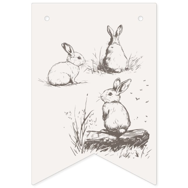 Woodland Animals Baby Shower Bunting (Sixth Flag)