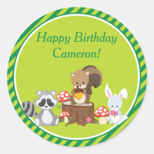 Woodland Animals Birthday Party   Personalised Classic Round Sticker