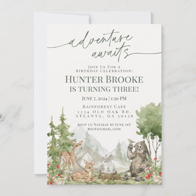 Woodland Animals Birthday Party Woodsy Invitation (Front)