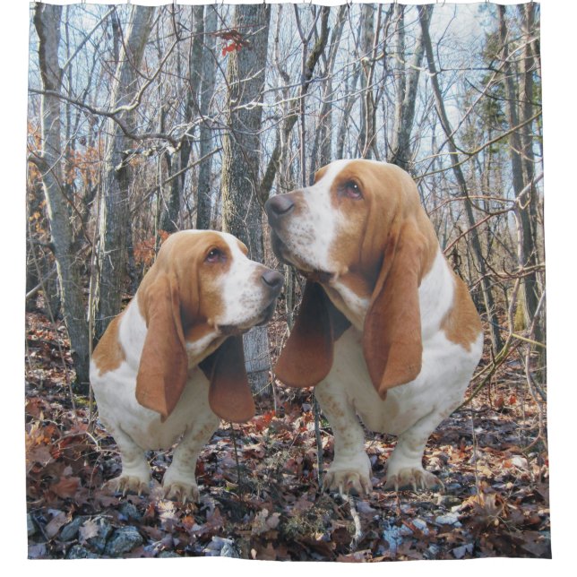 Woodland Basset Hound Shower Curtain (Front)