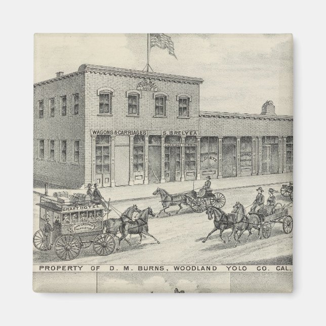 Woodland building, Yolo County farm Magnet (Front)