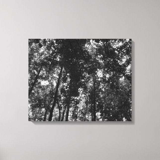 Woodland Canopy 01 BW Canvas Print (Front)