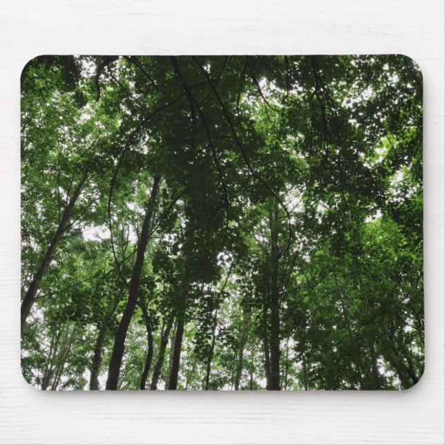 Woodland Canopy 01 Mouse Mat (Front)