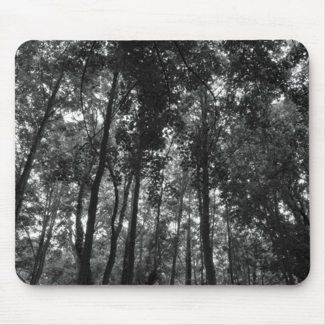 Woodland Canopy 02 BW Mouse Mat (Front)