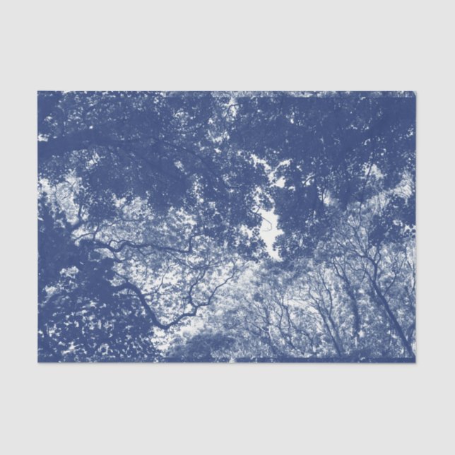 Woodland Canopy (02) - Cyanotype Effect Tissue Paper (Front)