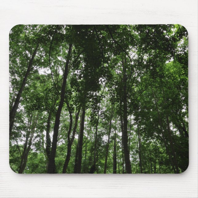 Woodland Canopy 02 Mouse Mat (Front)