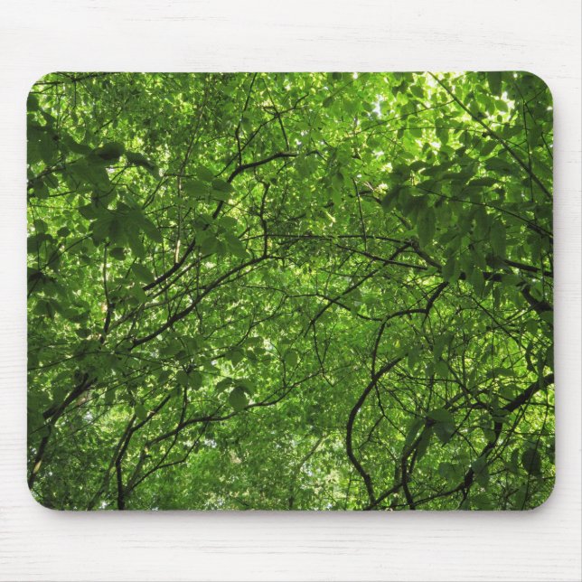 Woodland Canopy Mouse Mat (Front)
