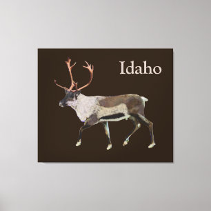 Woodland Caribou Canvas Print