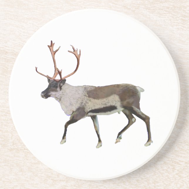 Woodland Caribou Coaster (Front)