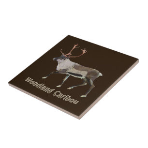 Woodland Caribou Tile