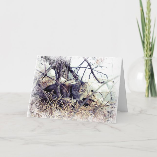 Woodland Cat in The Snow Christmas Holiday Card (Front)