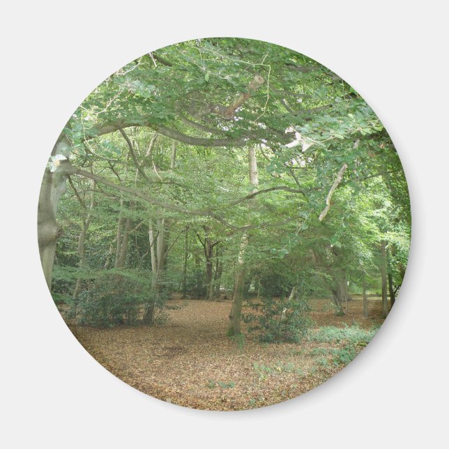 Woodland Clearing Magnet (Front)