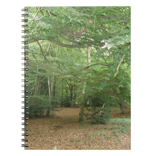 Woodland Clearing Notebook (Front)