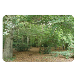 Woodland Clearing Premium Magnet