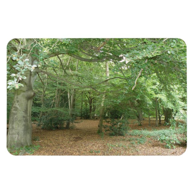 Woodland Clearing Premium Magnet (Horizontal)