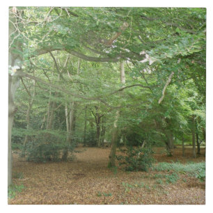 Woodland Clearing Tile