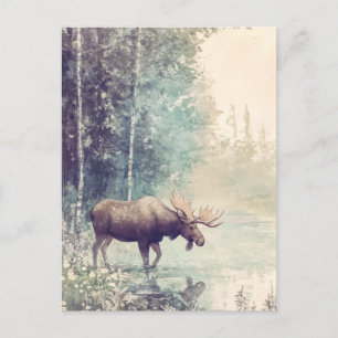 Woodland Creatures Postcard