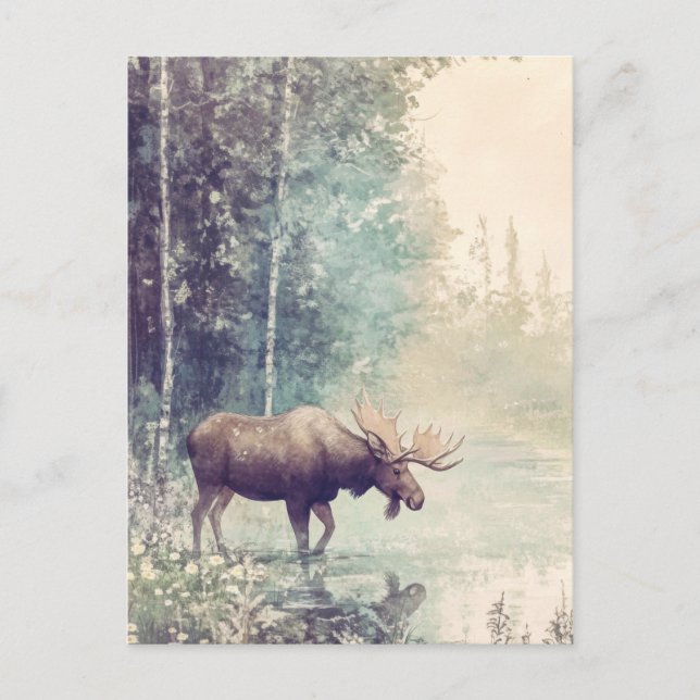 Woodland Creatures Postcard (Front)