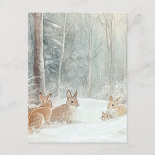 Woodland Creatures Rabbits Postcard