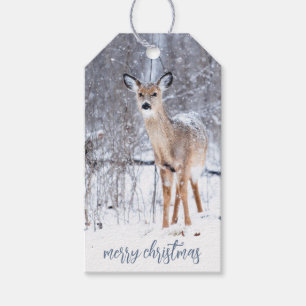 Woodland Deer In Winter Snow Christmas Gift Tags
