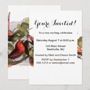 Woodland Elf in Nest: Antique Bird Sprite Fairy Invitation