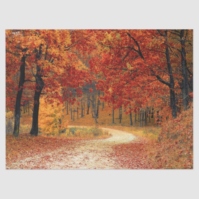 woodland fall trail tissue paper (Front)