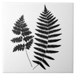 Woodland Fern, Black and White  Tile
