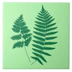 Woodland Fern, Emerald and Light Green Tile
