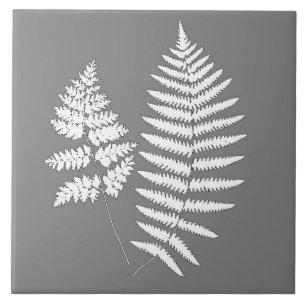Woodland Fern, Grey / Grey and White   Tile