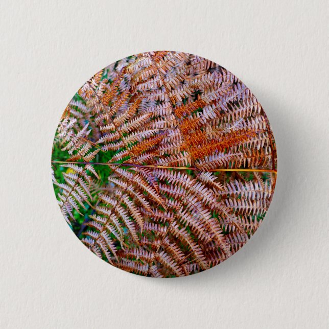 Woodland Ferns Badge (Front)