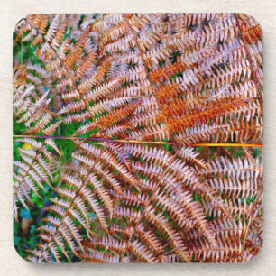 Woodland Ferns Coaster