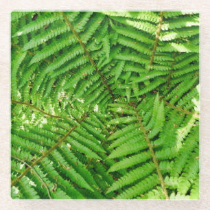 Woodland Ferns Glass Coaster