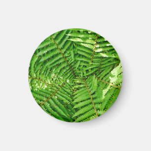Woodland Ferns Magnet